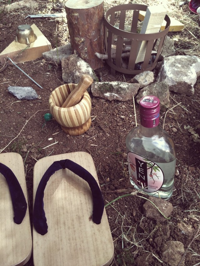 IMG_24062017_152524_1498420771997